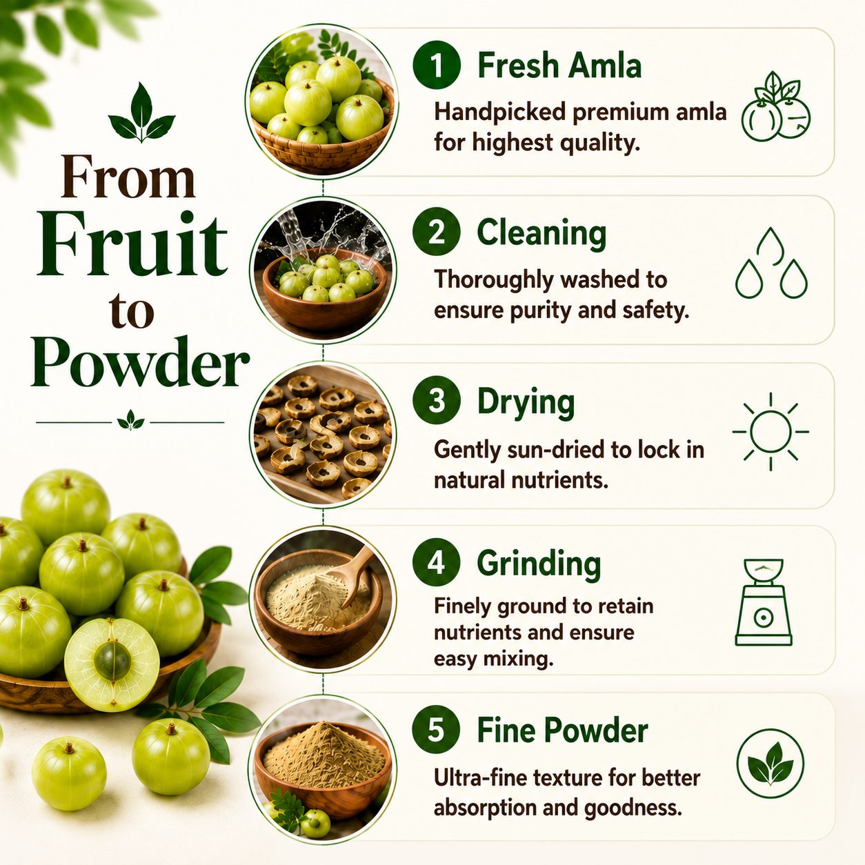 From Fruit to Powder — 5-step process: Fresh Amla, Cleaning, Drying, Grinding, Fine Powder